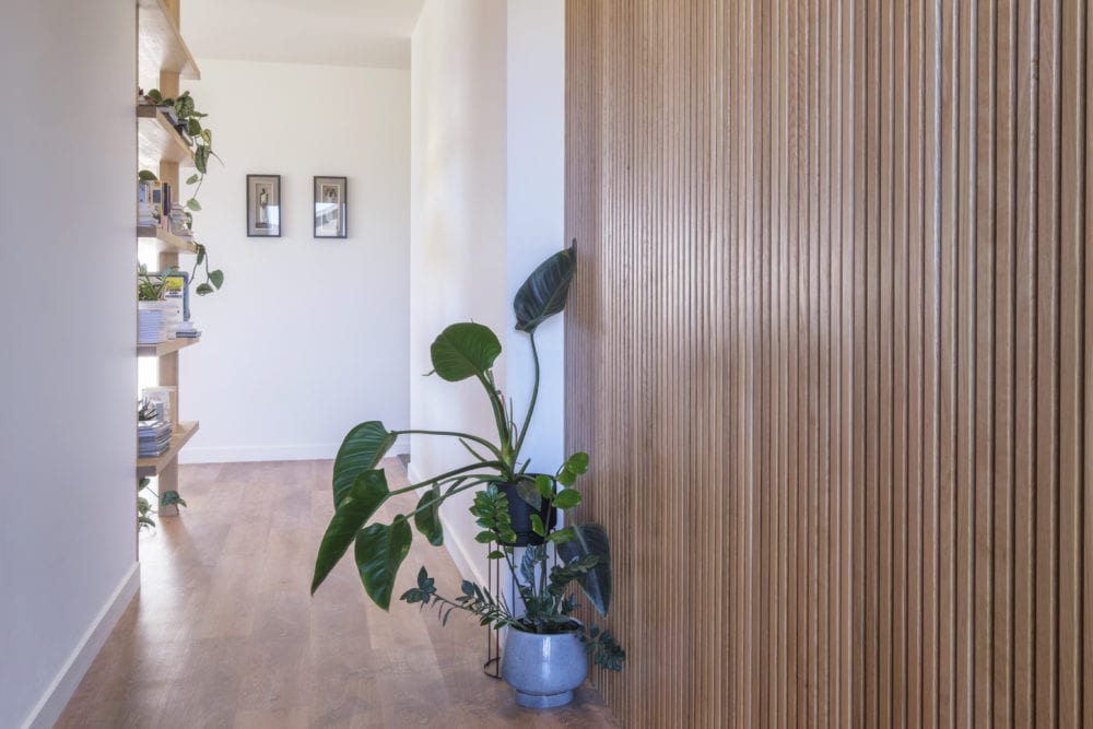 builders in Nelson NZ